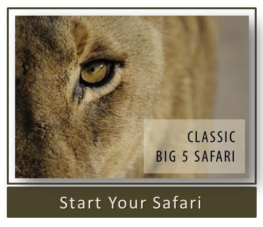 Classic Big 5 Safari